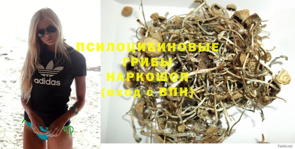 хмурый Алексеевка