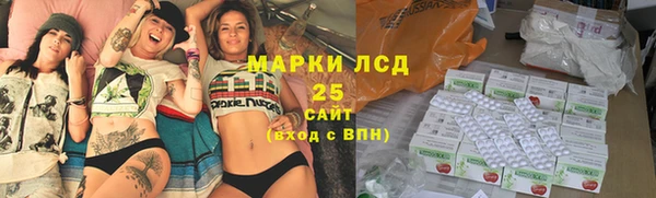 ГАЛЛЮЦИНОГЕННЫЕ ГРИБЫ Вяземский