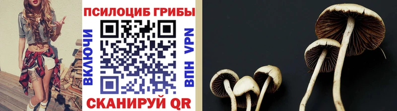Псилоцибиновые грибы ЛСД  blacksprut рабочий сайт  Ува  закладка 